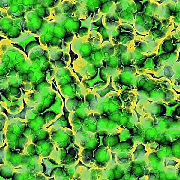 Les bactéries vertes au microscope — Photo
