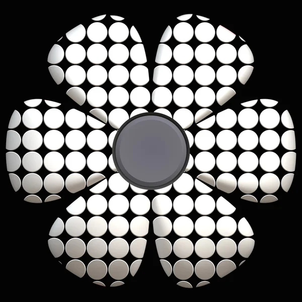 Stokrotka czarno-biały — Zdjęcie stockowe