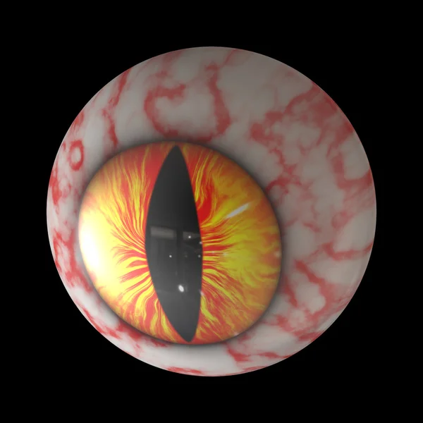 Cat s eyeball — Stock Photo, Image