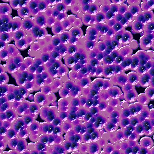 Bactérias roxas — Fotografia de Stock