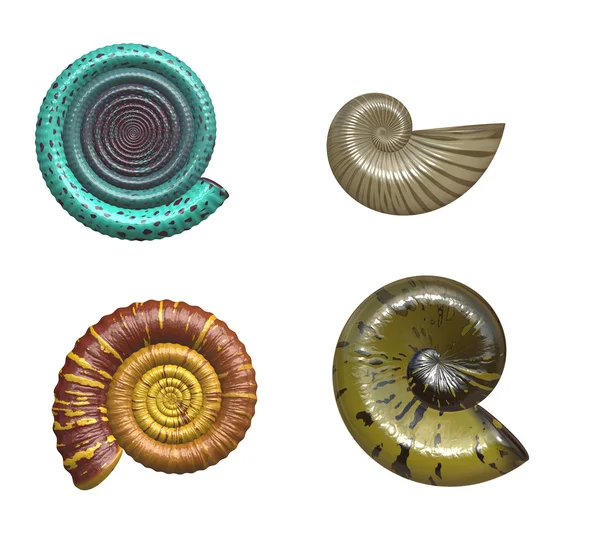 Old fossils — Stock Photo, Image