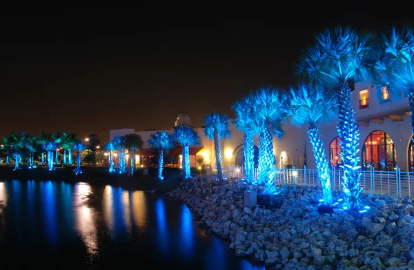 Palmen unter blauem Licht — Stockfoto
