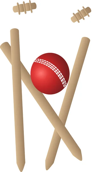 Cricket wickets ballon sur fond blanc — Image vectorielle