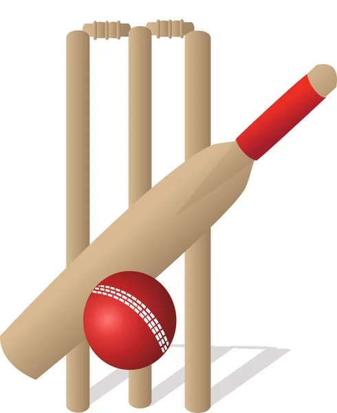 Cricket Set — Stock Vector
