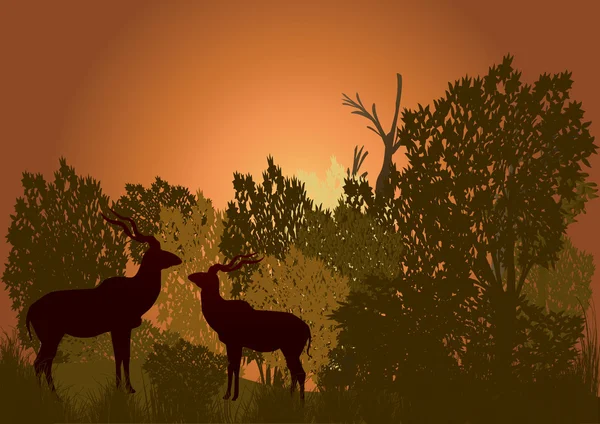 Dos kudu en el arbusto — Archivo Imágenes Vectoriales