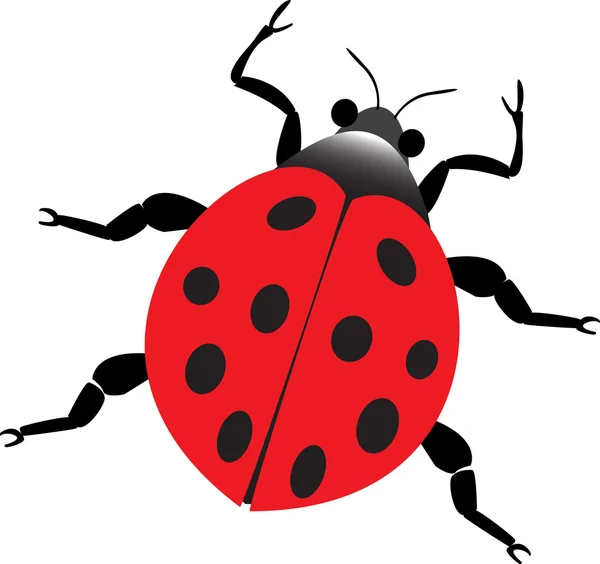 Red lady beetle — Stockový vektor