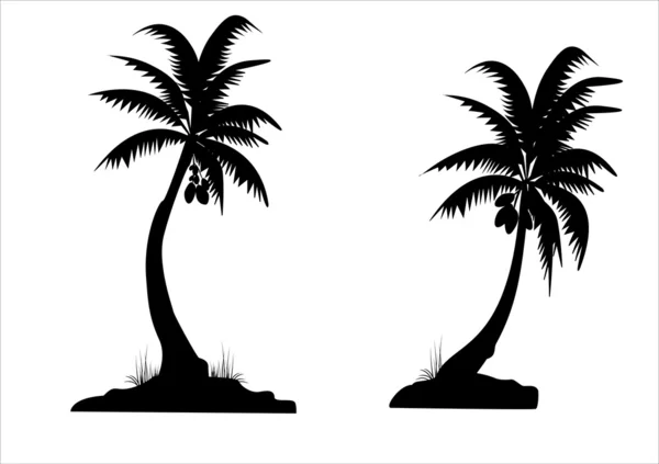 Palmbomen — Stockvector