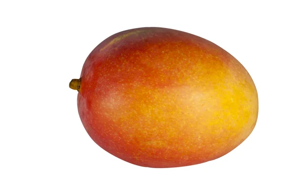 Гальпсо-манго — стоковое фото