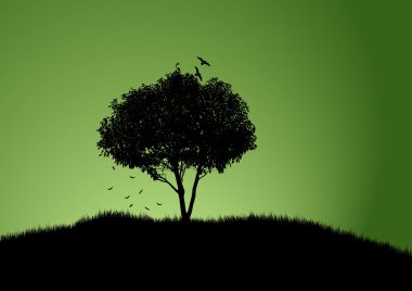 yeşil renkli olan ağaç