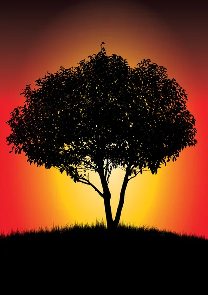 Enkele zwarte boom in zonsondergang — Stockvector