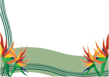 bird of paradise with green background clipart