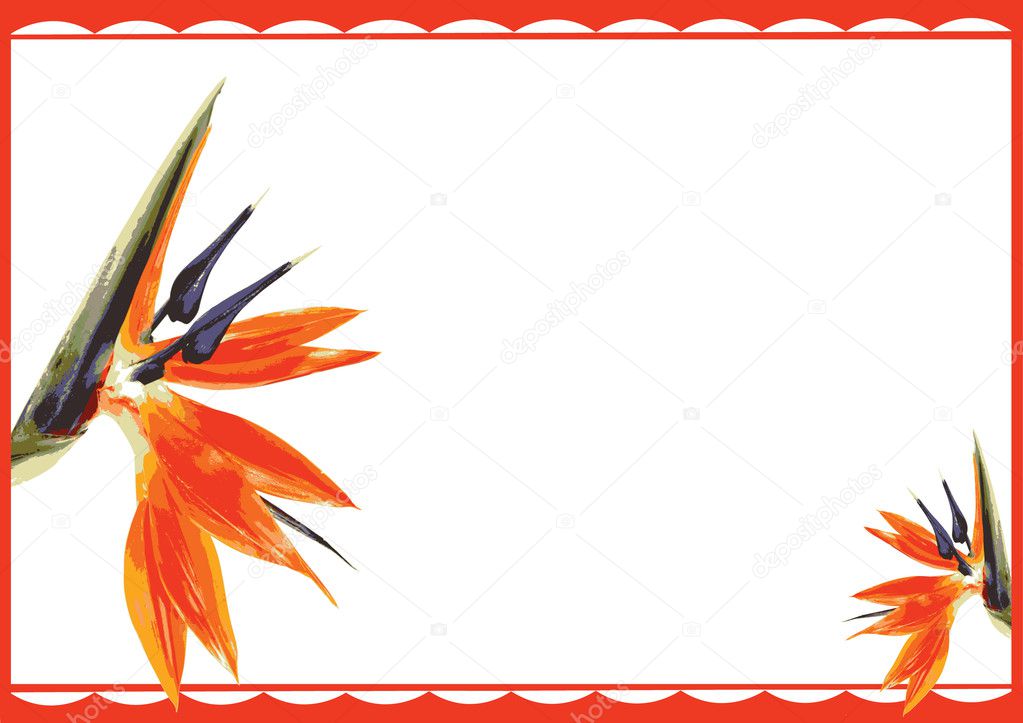 Gift card flower Stock Vector Image by ©ekays 11916962