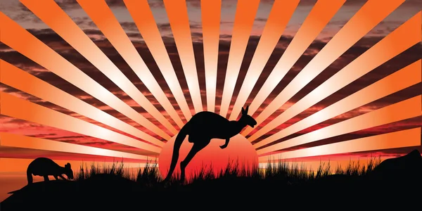 Kangaroo sunset — Stock vektor