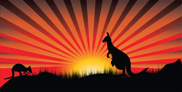 Kangurunun — Stok Vektör