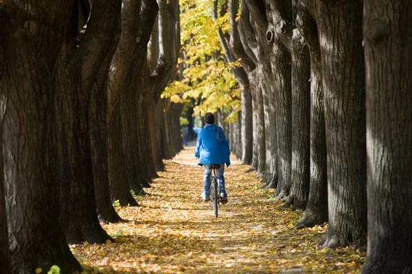 Cycling in the autumn. — Stock Photo, Image