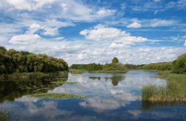 Little Lake (Kis Balaton) clipart