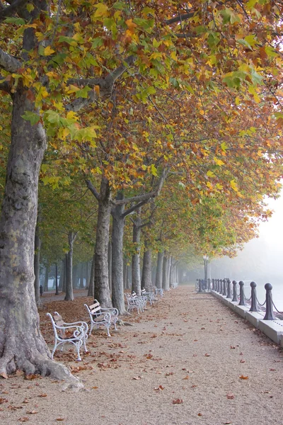 Mlha podzim — Stock fotografie