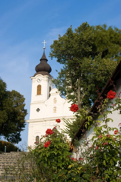 Thiany abbey with roses in front — Stock Photo, Image
