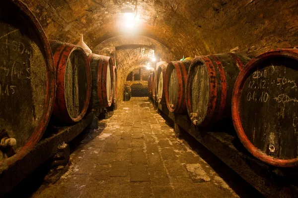 stock image Wine barrels