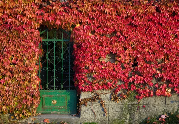 Podzimní vchod — Stock fotografie