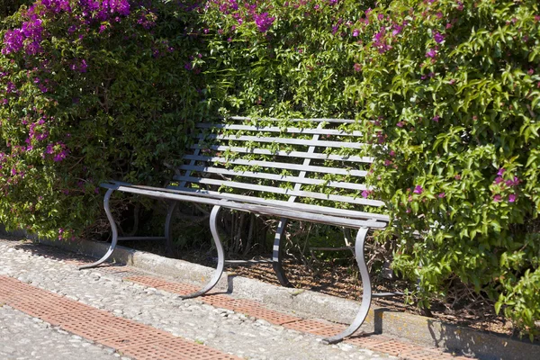 stock image Bench with flowering shrub