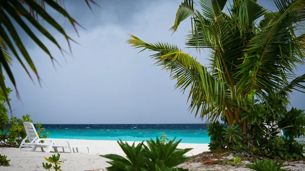 Palmiye ağaçları olan güzel tropikal plaj — Stok fotoğraf