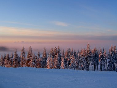 Foggy evening in mountains clipart