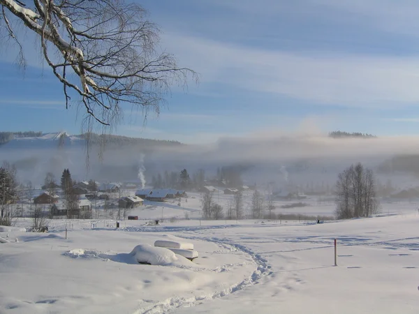 霧の冬の風景 — ストック写真