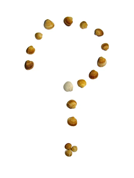 Question mark of seashells — Stock Photo, Image
