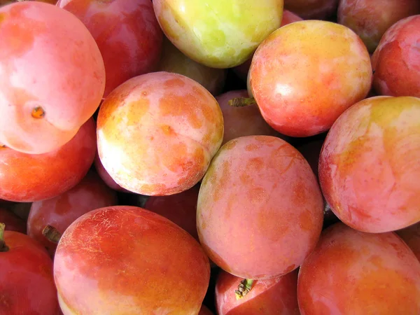 stock image Fresh Plums