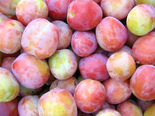 stock image Fresh Plums