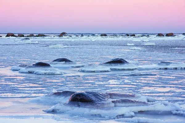 Frosty sea — Stock Photo, Image