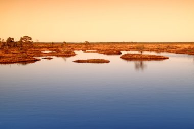 Estonya Isles, Marsh yatay