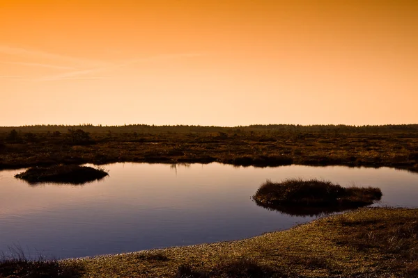 Marsh táj, a szigetek, Észtország — Stock Fotó