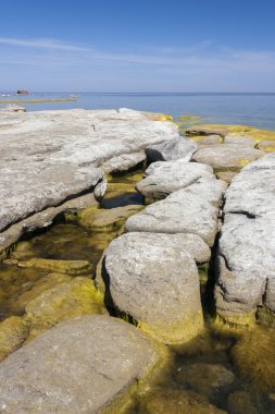 Taşlı deniz kıyısı