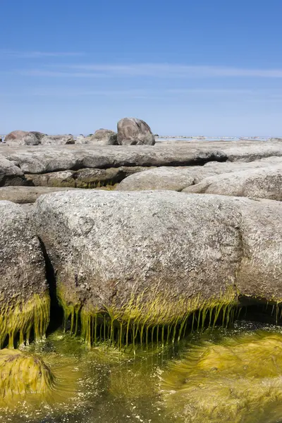 石の海岸 — ストック写真