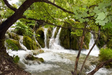 şelaleler Plitvice, Hırvatistan