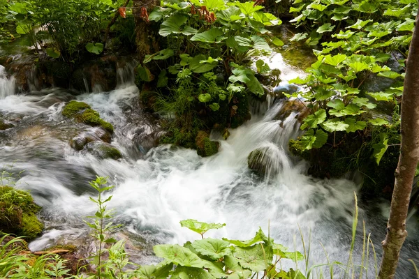 Водопады Плитвицкой области — стоковое фото