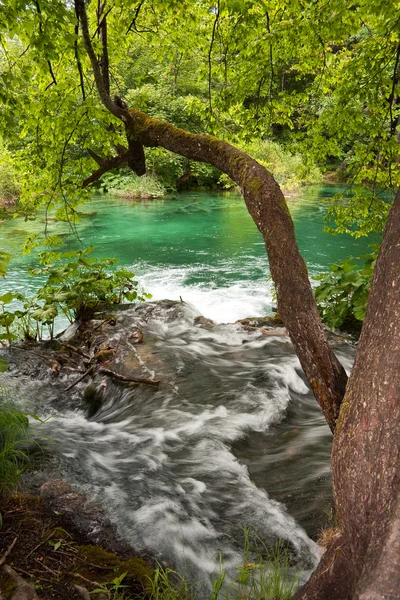 Vattenfall i plitvice, Kroatien — Stockfoto
