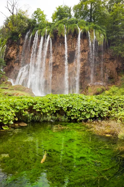Vodopády plitvice, Chorvatsko — Stock fotografie