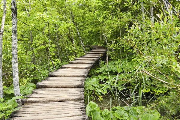 Trä gångväg i skogen i plitvice, Kroatien — Stockfoto