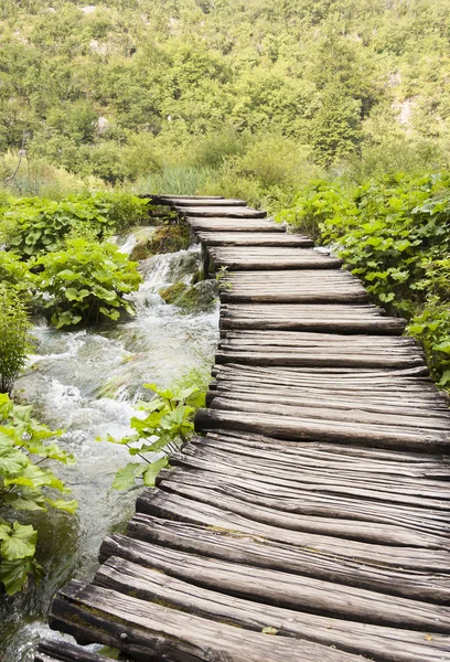 Timber walkway in Plitvice, Croatia — Stock Photo, Image