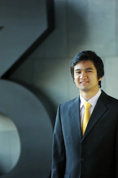 Asiático hombre de negocios vestido de traje y corbata, sonriendo . Fotos De Stock