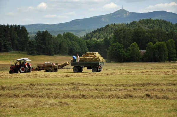 stock image Haymaking