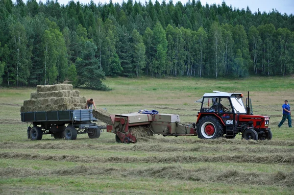 stock image Hay harvest