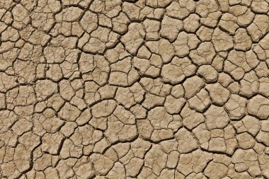 Dry cracked desert ground clipart