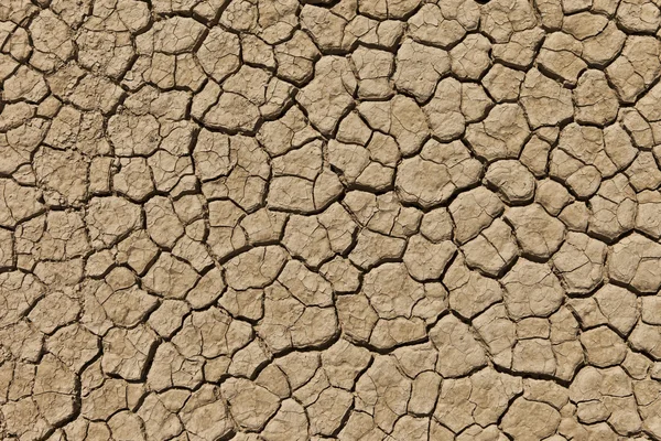 Terreno seco rachado no deserto — Fotografia de Stock