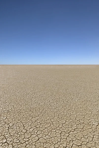Desierto seco —  Fotos de Stock