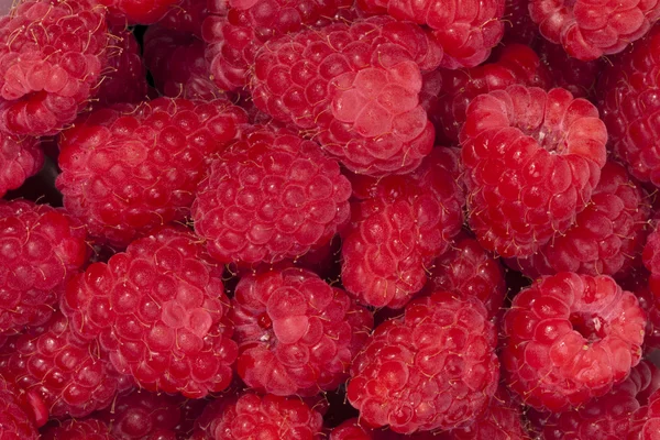 stock image Raspberries