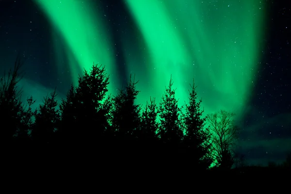 Northern lights (Aurora Borealis) in the sky — Stock Photo, Image